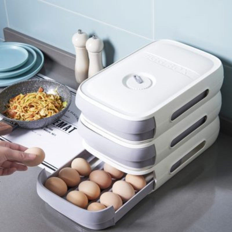 Organizador de Huevos (Envío Gratis)