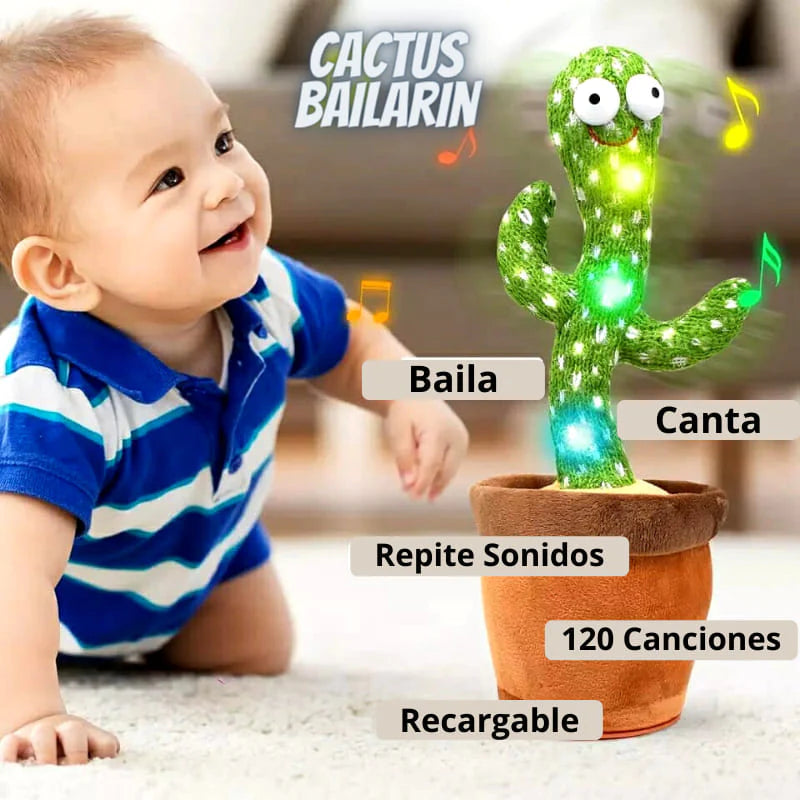Cactus🌵 Bailarín Imitador | Envío Gratis